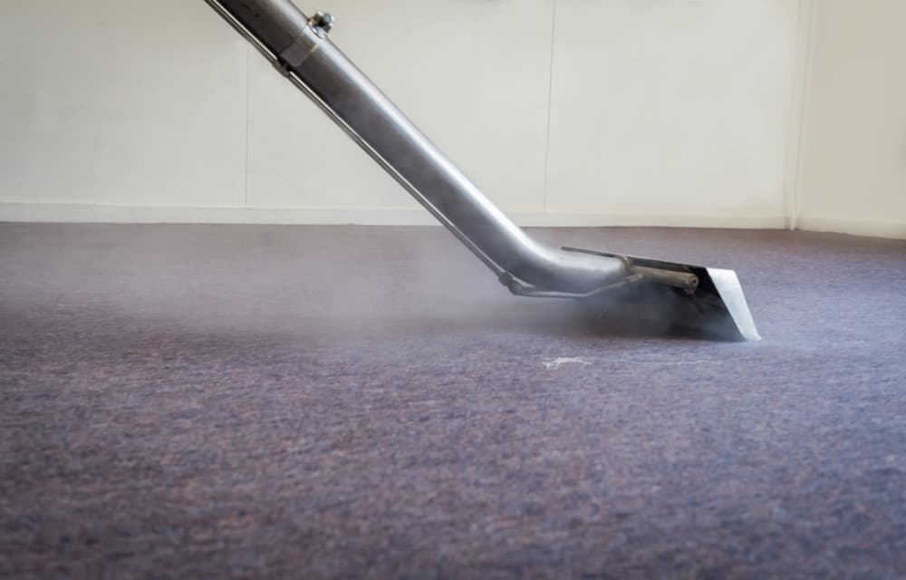 Steam cleaner cleaning carpet thoroughly