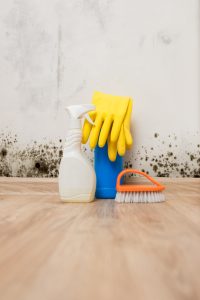 Black mold on the wall behind a scrub brush, gloves and a spray bottle