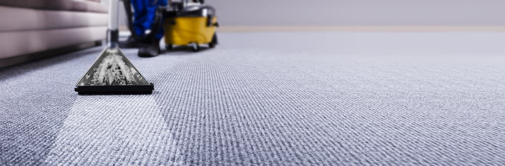 close up image of a professional carpet cleaner cleaning carpet